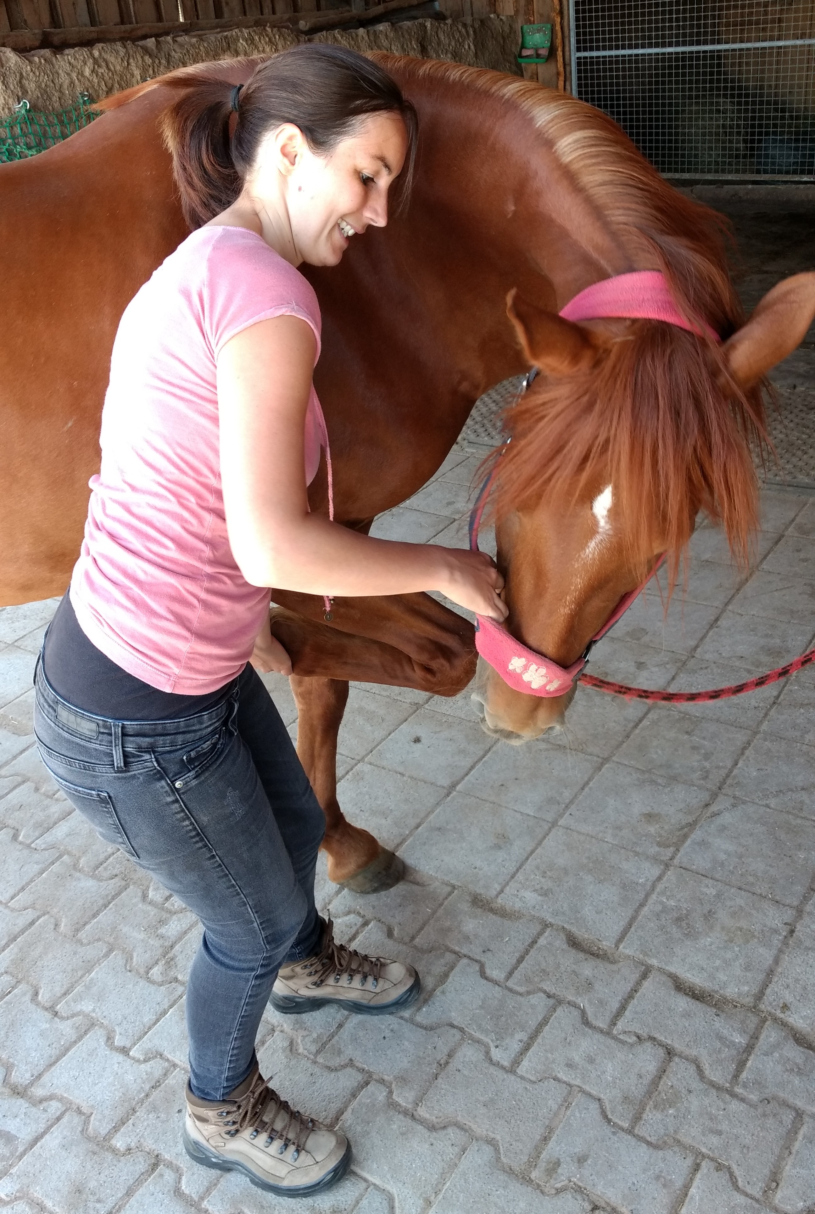 Pferd Physiotherapie Tier Tierphysiotherapie Therapeutische Gymnastik Beispiel 2